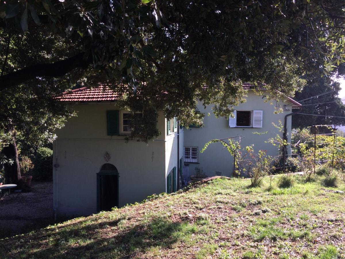 Ponzio Appartement *
