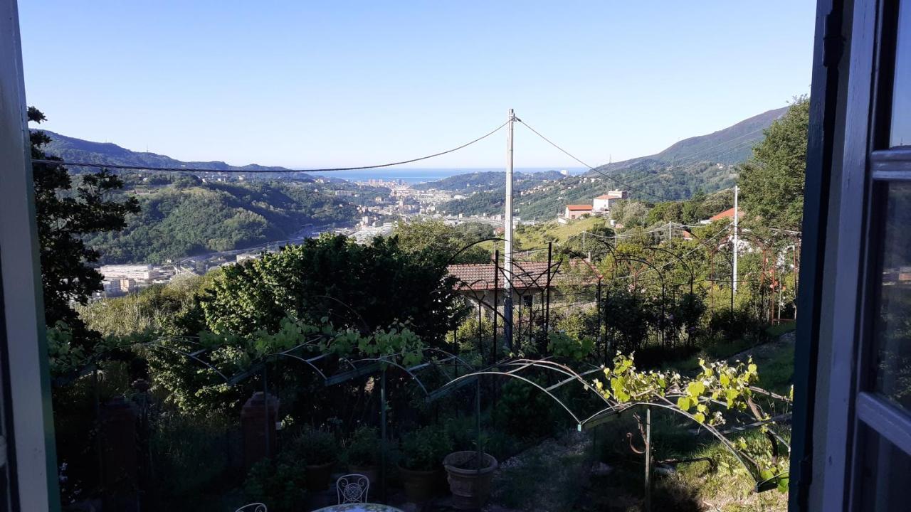 Ponzio Genoa